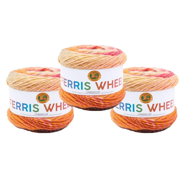 Lion Brand Yarn Ferris Wheel Roving Medium Multi-Colored Yarn 3 Pack