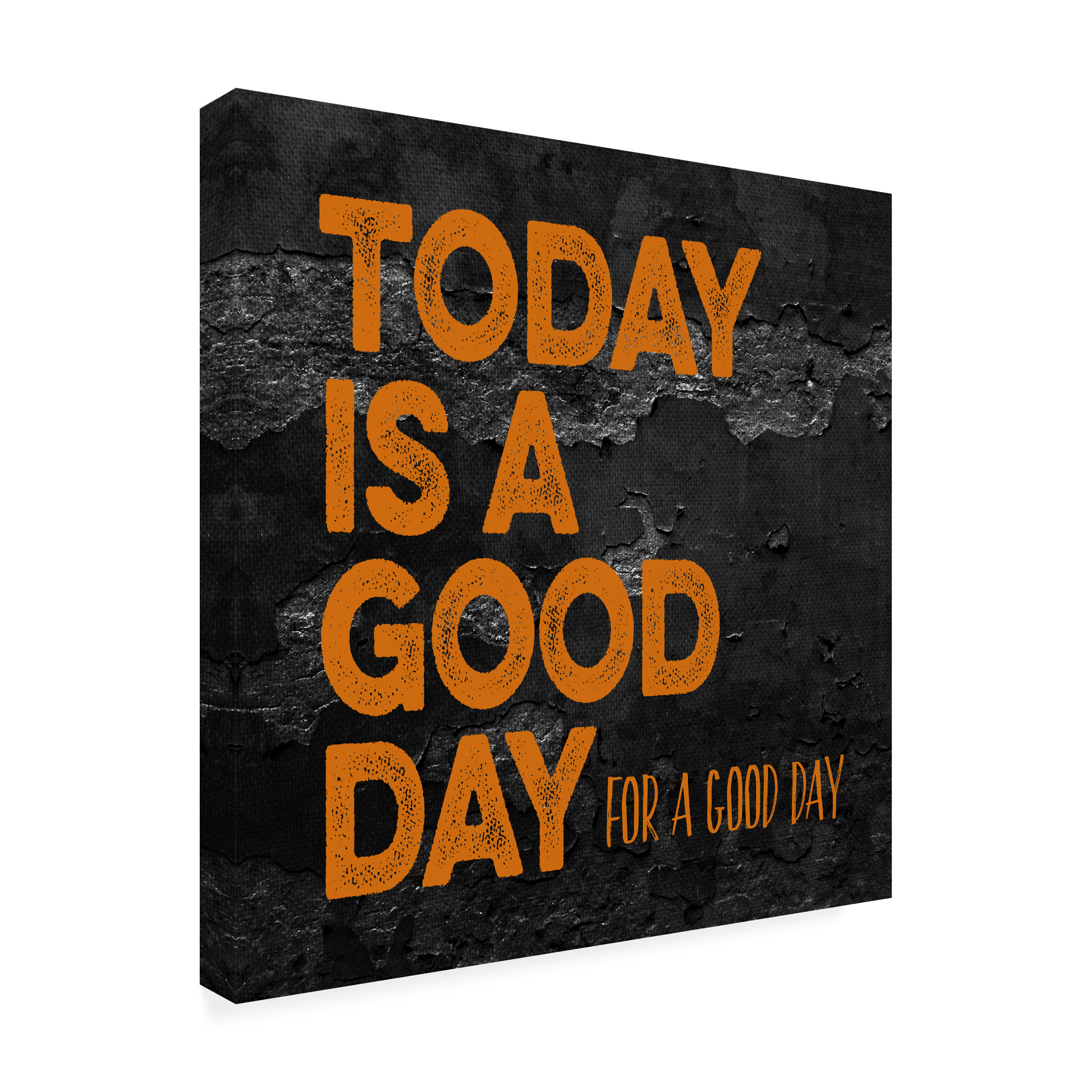 Trademark Fine Art 'Today Is A Good Day' Canvas Art by Marcee Duggar