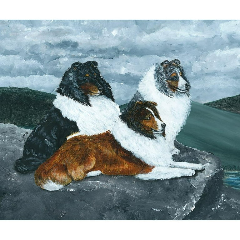 CafePress Mountain Mist Sheltie Throw Blanket Soft Fleece Throw Blanket 50