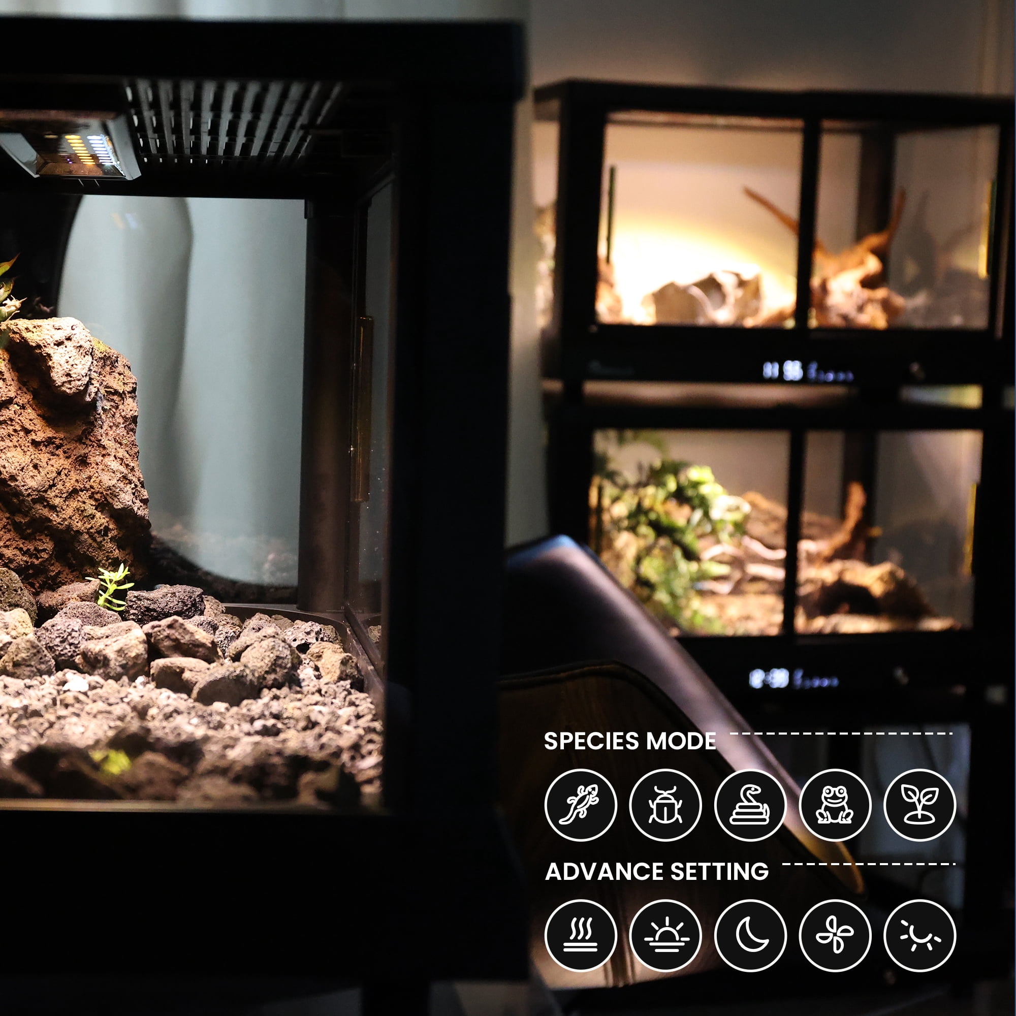 All in One Smart Reptile Tank Terrarium with LED Light Reptile Heat Pad Thermostat Tank Accessories for Reptile Enclosure Bearded Dragon Snake Lizard Habitat