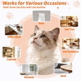 thumbnail image 3 of Lvelia Cat Toys Hanging Door Automatic Cat Toy Interactive Elastic Rope with Flying Bird & Mouse,Cat Catching Game Door Hanger,Self Play Cat Toys,Orange, 3 of 7