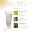 thumbnail image 3 of Kit Terramar Mascarilla Intensiva + Oleo Aceite Para El Cabello + Shampoo Extractos Oleosos Argán Macadamia Monoi de Tahití, 3 of 6
