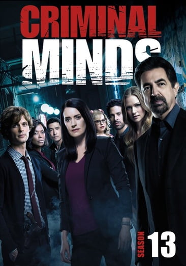 Criminal Minds: Season 13 - Walmart.com