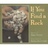 If You Find a Rock (Hardcover)