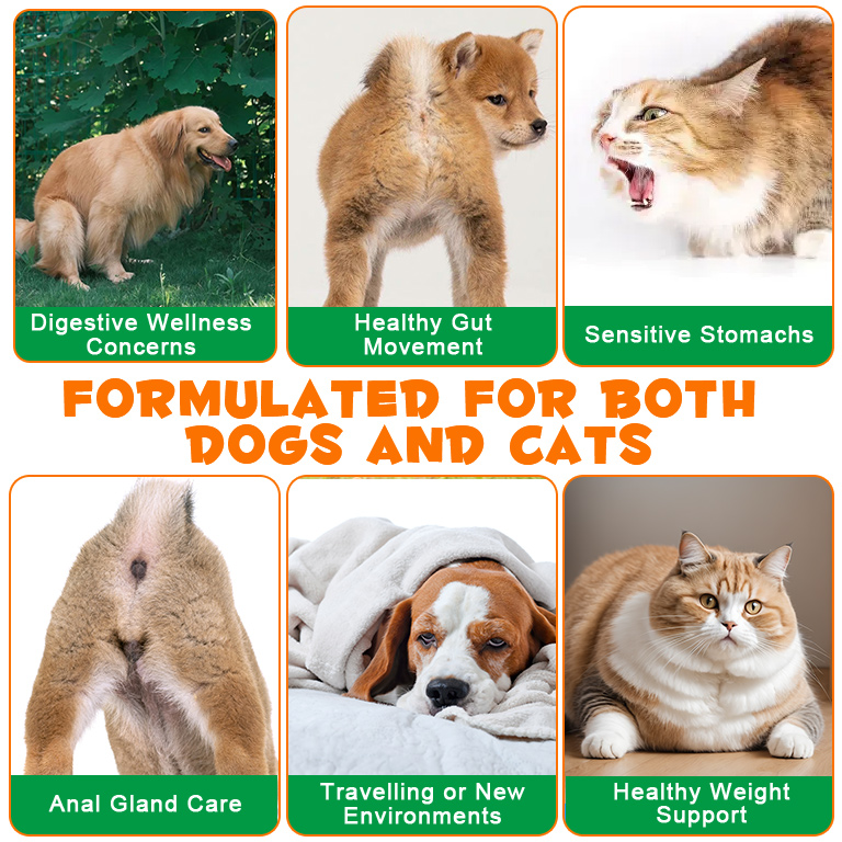 Oimmal Pumpkin for Dogs & Cats, All Natural Fiber with Digestive Enzymes, Apple, Healthy Stool & Digestive Support, Diarrhea, Constipation Relief, Pumpkin Powder for to Make Puree 2Pack