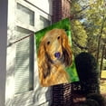 thumbnail image 2 of Caroline's Treasures SS8790CHF Dachshund Flag Canvas, Large, Multicolor, 2 of 5