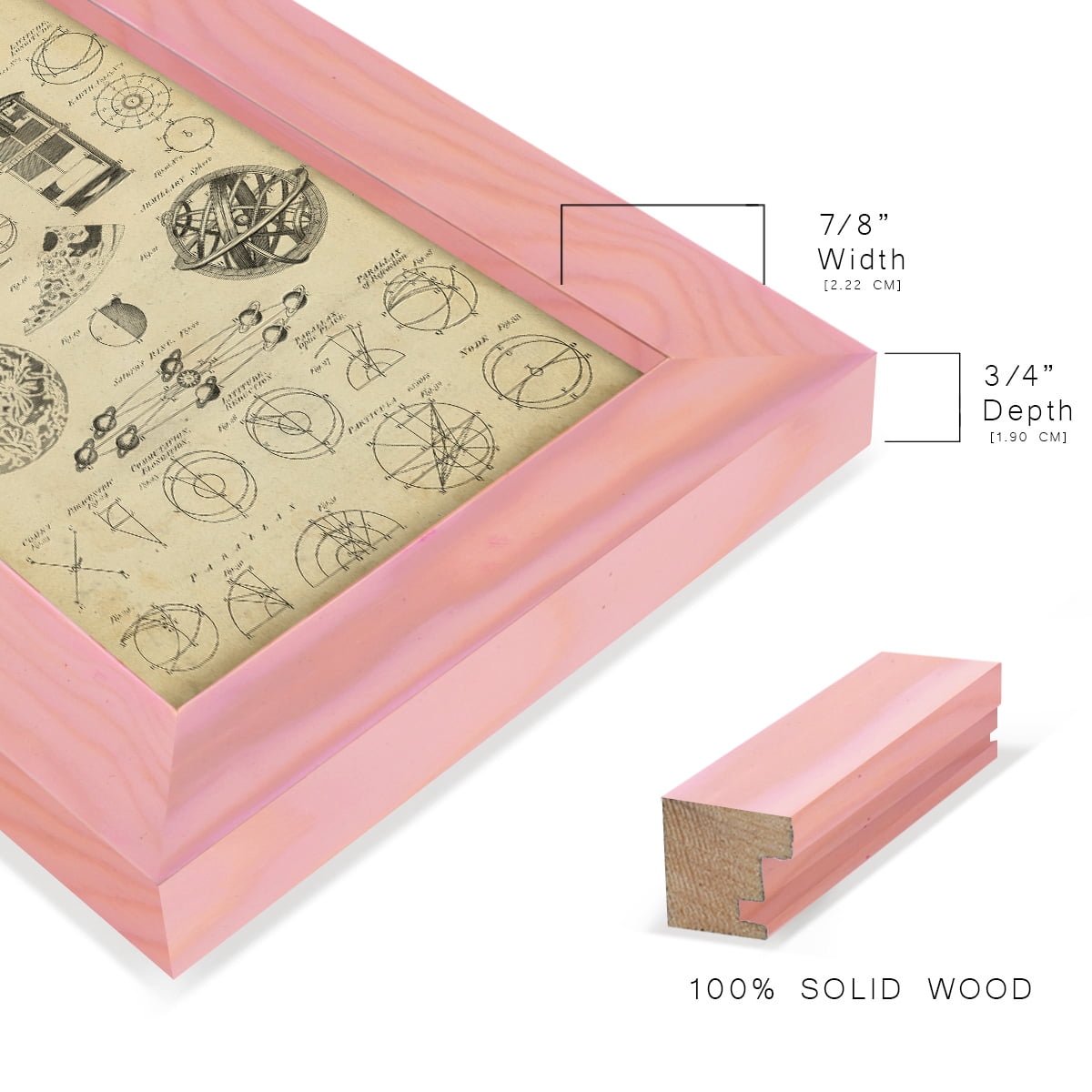 Encyclopediae II -Framed Print w/glass-Sunset Pink