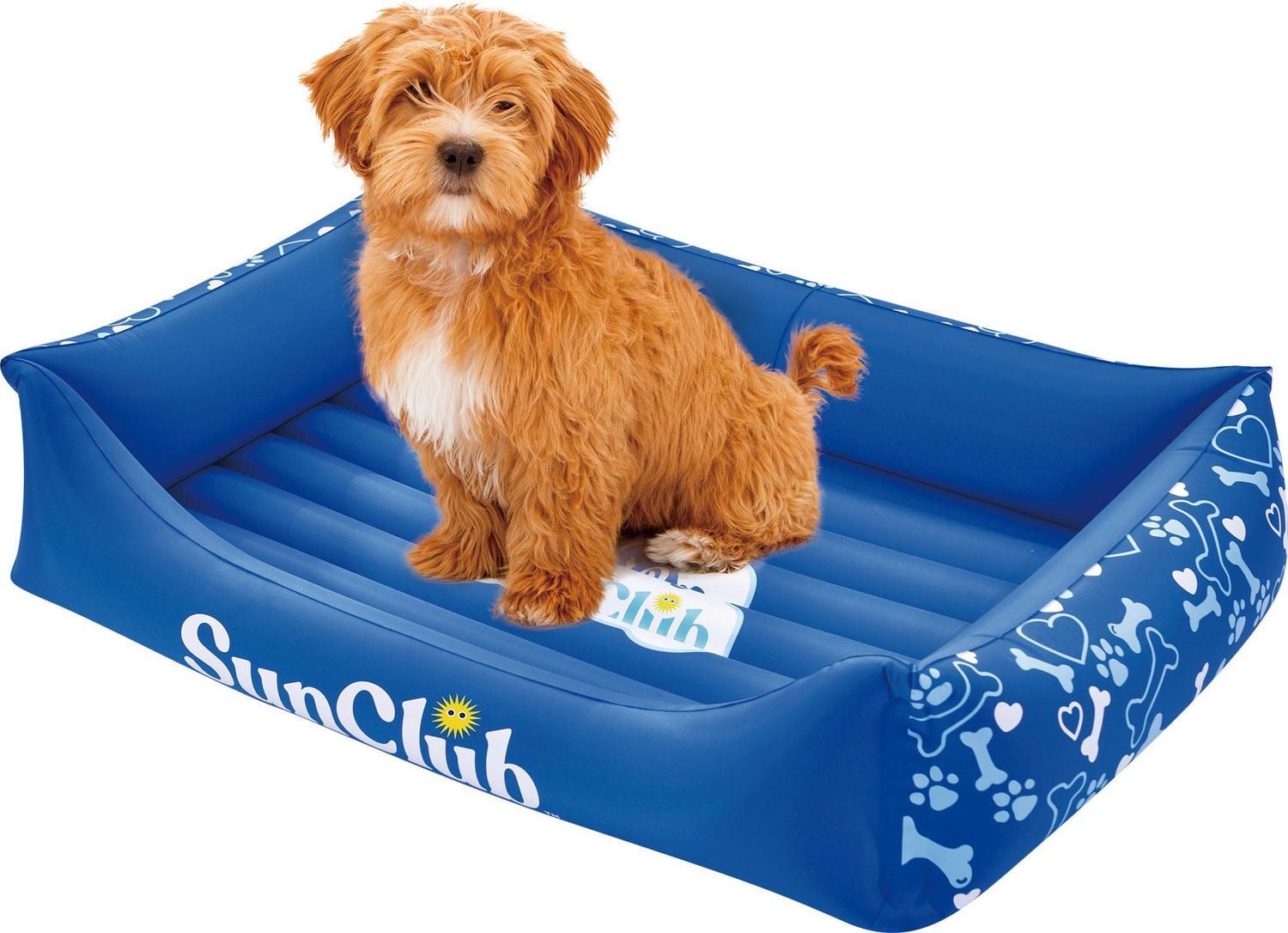 Lit pour chien gonflable SunClub – Imperméable, portable, bleu – Grand format (36 po x 26 po x 7,9 po)