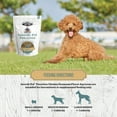 thumbnail image 4 of Dr. Pol Incredi-Pol Favorites Parmesan Chicken Flavor Crunchy Dog Treats, 12 oz. Bag, 4 of 6
