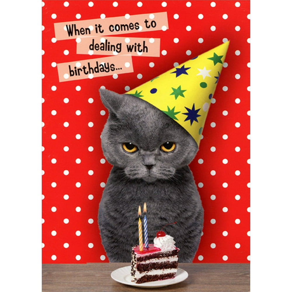 Oatmeal Studios Dealing With Birthdays Cat Funny Birthday Card