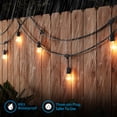 thumbnail image 4 of TORCHSTAR 50ft Commercial Weatherproof String Lights, Outdoor String Lights Decor for Patio, Party, Garden, 24 Sockets, 36 Bulbs Included, 4 of 7