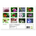 thumbnail image 2 of Dream flowers (Monthly Wall Calendar 2026 16.5 x 23.4 (open)), CALVENDO 14 Month Calendar, 2 of 9