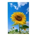 thumbnail image 2 of Disketp Blue Sky Sunflower Custom Puzzle Personalized Puzzles 1000 Pieces, Customized Picture Puzzle for Adult and Teens((29.5×19.7in, Vertical), 2 of 9