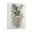 Frame-style, variant on Wangechi Mutu Painting Artwork Artist Poster Canvas Wall Art Poster Decorative Bedroom Modern Home Print Picture Artworks Posters 20x30inch(50x75cm)