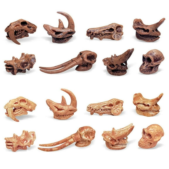 Ancient Animals Skeleton Model Skull Educational Toys Bones Decor