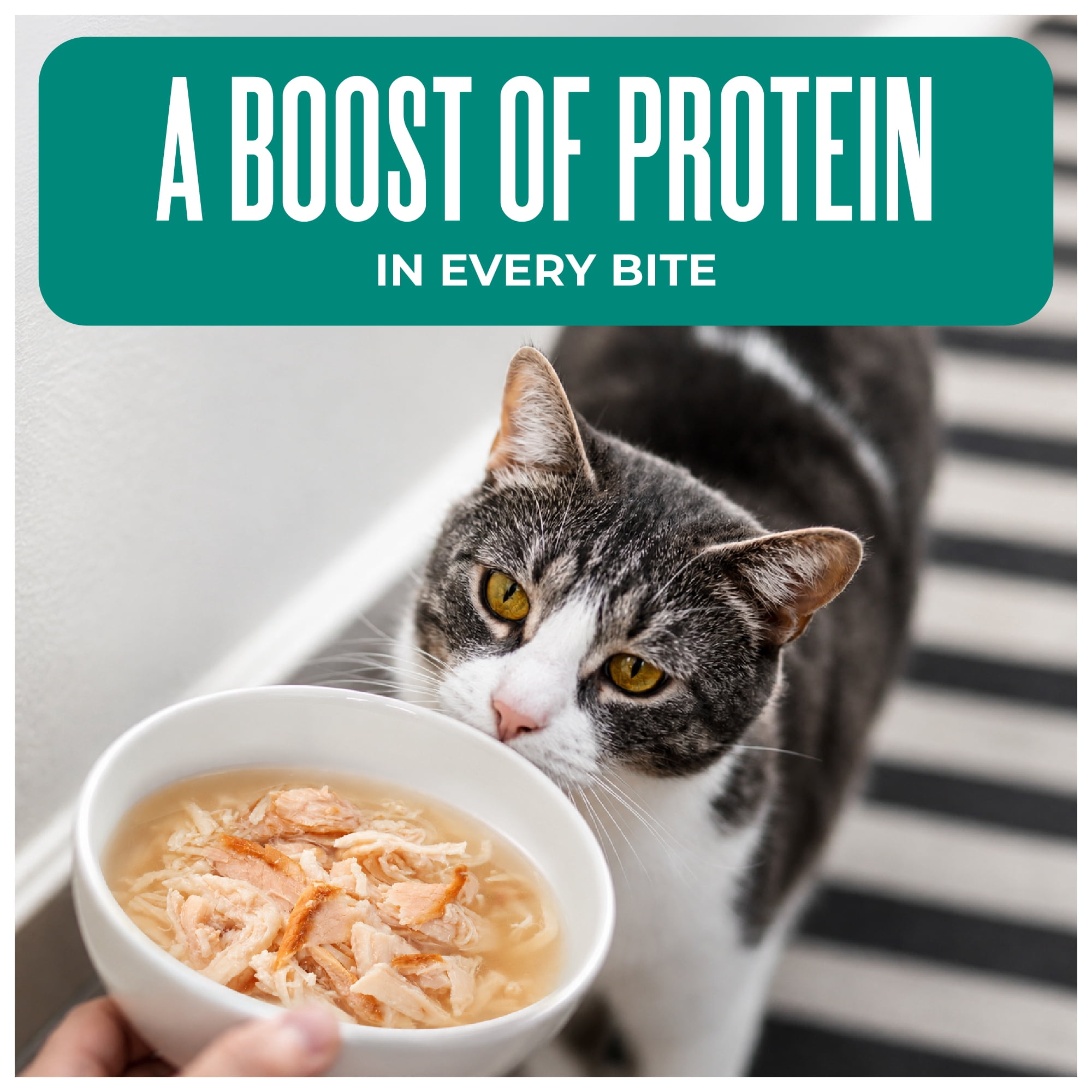Tiki Cat Born Carnivore Complements Wet Cat Food Topper, Chicken & Salmon 2.1 oz. Pouch