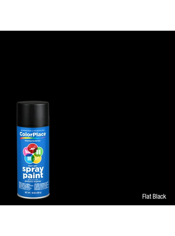 ColorPlace Spray Paint in Paint