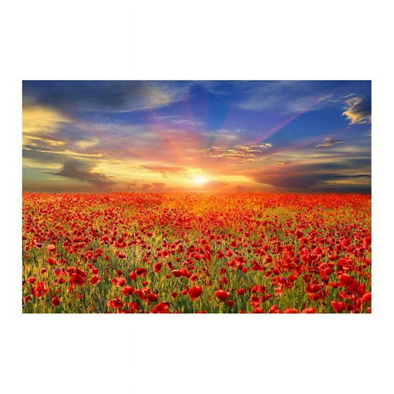 Yosemite Home Decor "All the Poppies" Glass Photographic Art in Multi-Color