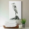 thumbnail image 6 of Shoreline Heron in B&W II Premium Gallery Wrapped Canvas - Ready to Hang, 6 of 7