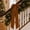 D, variant on Long Velvet Bow with Long Streamers Large Decorative Velvet Ribbon Bow