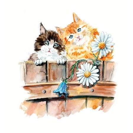 Very Cute Baby Pictures - Cute Cat Kitten Baby Animal Watercolor Picture Art Mural Custom Wall Decal Vinyl Sticker 10 Inches X 10 Inches