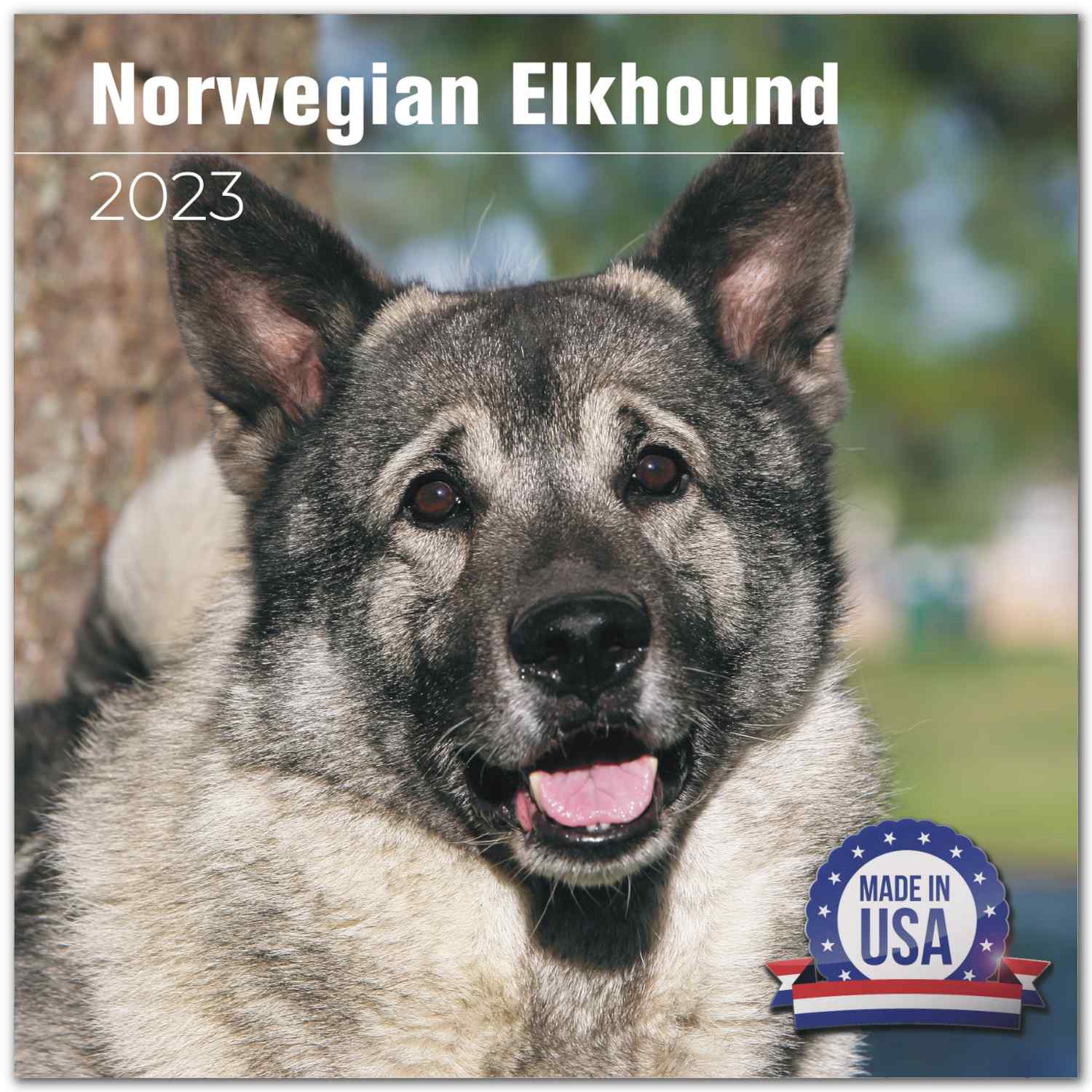 2022 2023 Norwegian Elkhound Calendar Dog Breed Monthly Wall Calendar