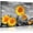 sunflower01, variant on Japanese Samurai Wall Art Inspirational Quotes Call On Me Brother Pictures Wall Decor Warrior Canvas Painting Print Artwork Home Decorations Framed Ready to Hang for Living Room Office Gym 12"x16"