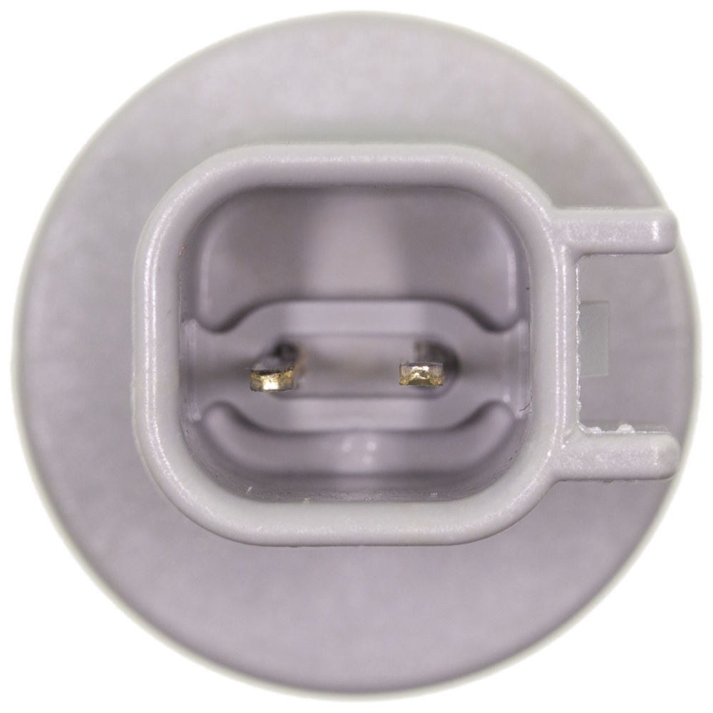 Back Up Light Socket