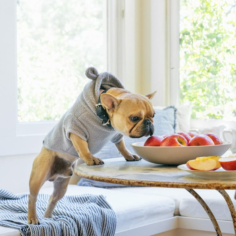 Gap Pet, Dog Clothes, Recycled Gray Sherpa Bear Ear Pet Hoodie