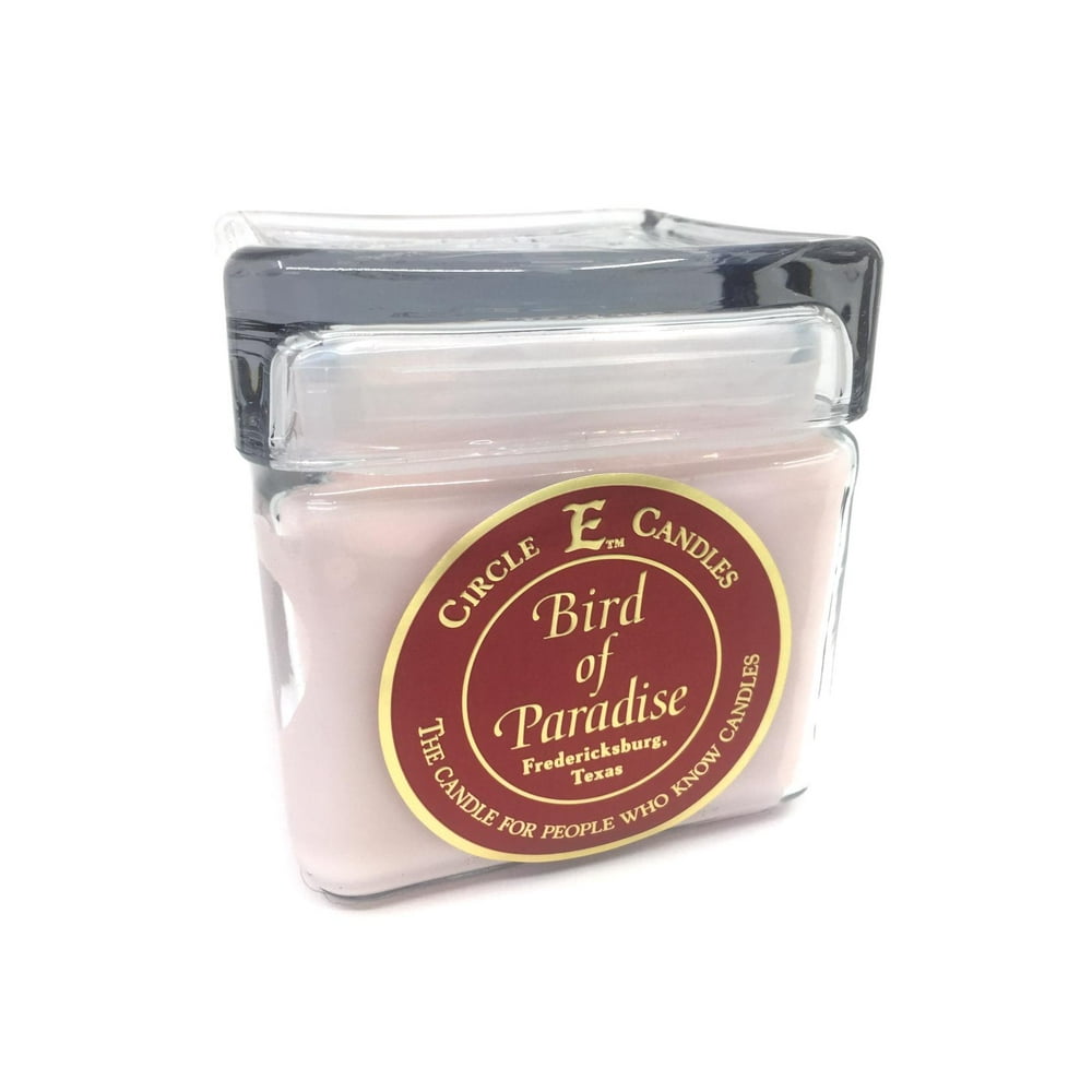 Circle E Bird of Paradise Scented Jar Candle | Size 28oz | 155 Hour