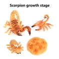 thumbnail image 1 of 1 Set Life Cycle Toy Household Simple Simulation Model Educational Toys Exquisite Interesting Scorpion Models for Home School Brown, 1 of 9