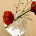 thumbnail image 2 of S Floreros de terrario de plantas decorativas de escritorio de vidrio con forma de Granada transparente, 2 of 5