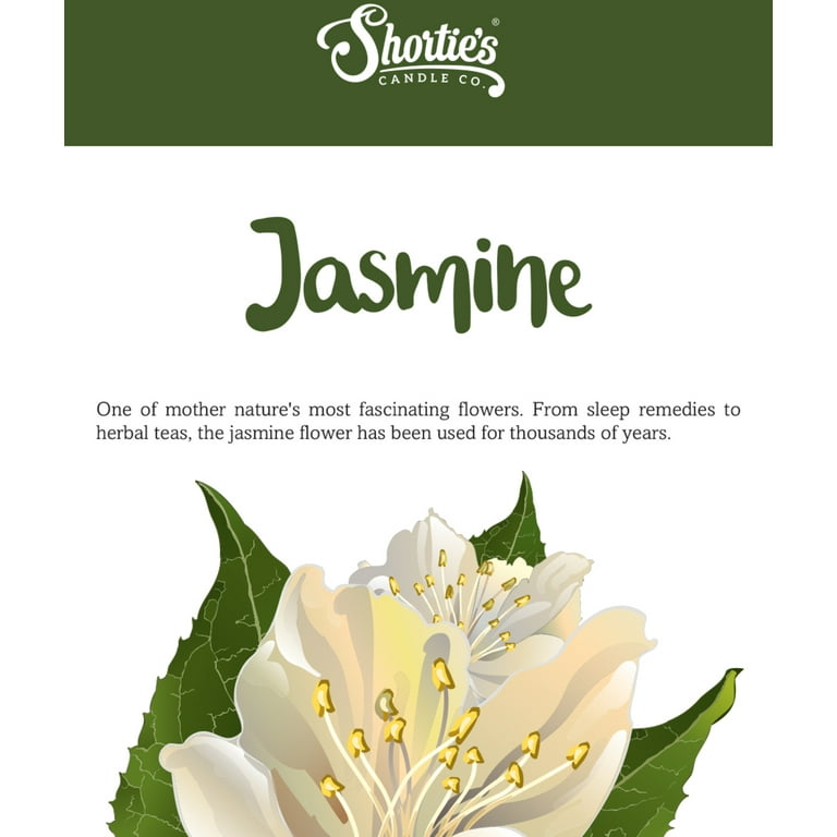 Pure Jasmine Wax Melt Kit – ONAIE