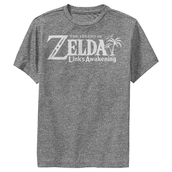 Boy's Nintendo Legend of Zelda Link's Awakening Switch Logo  Performance Graphic Tee Charcoal Heather X Large