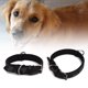 thumbnail image 1 of Collar De Perro Reflectante Correa De Cuello De Perro Pequeño Mediano, Collar De Perro, Para Mascotas ZAQW Camuflaje Negro M, 1 of 8