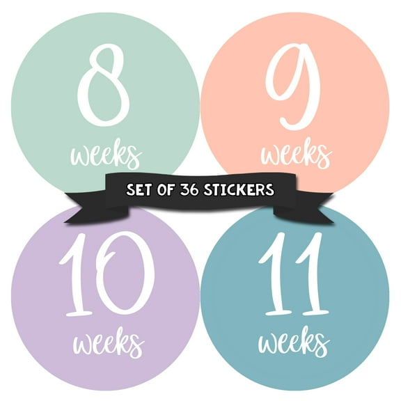 Months In Motion Pregnancy Week By Week Belly Stickers | Large Set of 36 Weekly Photo Sticker