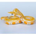 thumbnail image 1 of Simulación de boa constrictor, modelo de animal salvaje serpiente???Oro??‰ XianweiShao 8390613994462, 1 of 1
