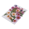 thumbnail image 4 of 25 mezclas das, hojas secas, relleno de muestras de plantas para decoración de uñas, álbumes de recortes, tarjetas, manualidades, resi UNA Gloria Flores secas prensadas naturales, 4 of 9