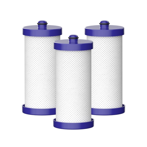 Waterdrop WF1CB Replacement for Frigidaire PureSource WFCB, RG100, NGRG2000, WF284, 9910, 469906, 469910, Refrigerator Water Filter, 3 Filters
