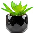 thumbnail image 1 of Artificial Succulent Plant Mini - Plastic Greenery Decoration Faux Potted Plant, 1 of 5