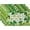 St. Patricks Day29, variant on Shamrock Scatter Placemats Set of 4 12x18 Inch St. Patricks Day Themed Placemats with Clovers Hearts for Kitchen Decor