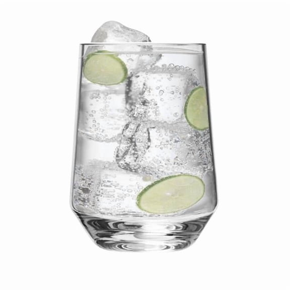 Tritan, Lexington 17 oz Stemless Wine & Tumbler - Set of 4