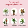 thumbnail image 5 of Miracle-Gro Tropical Potting Mix - Growing Media for Tropical Plants Living in Indoor and Outdoor Containers, 6 qt. 2-Pack, 5 of 11