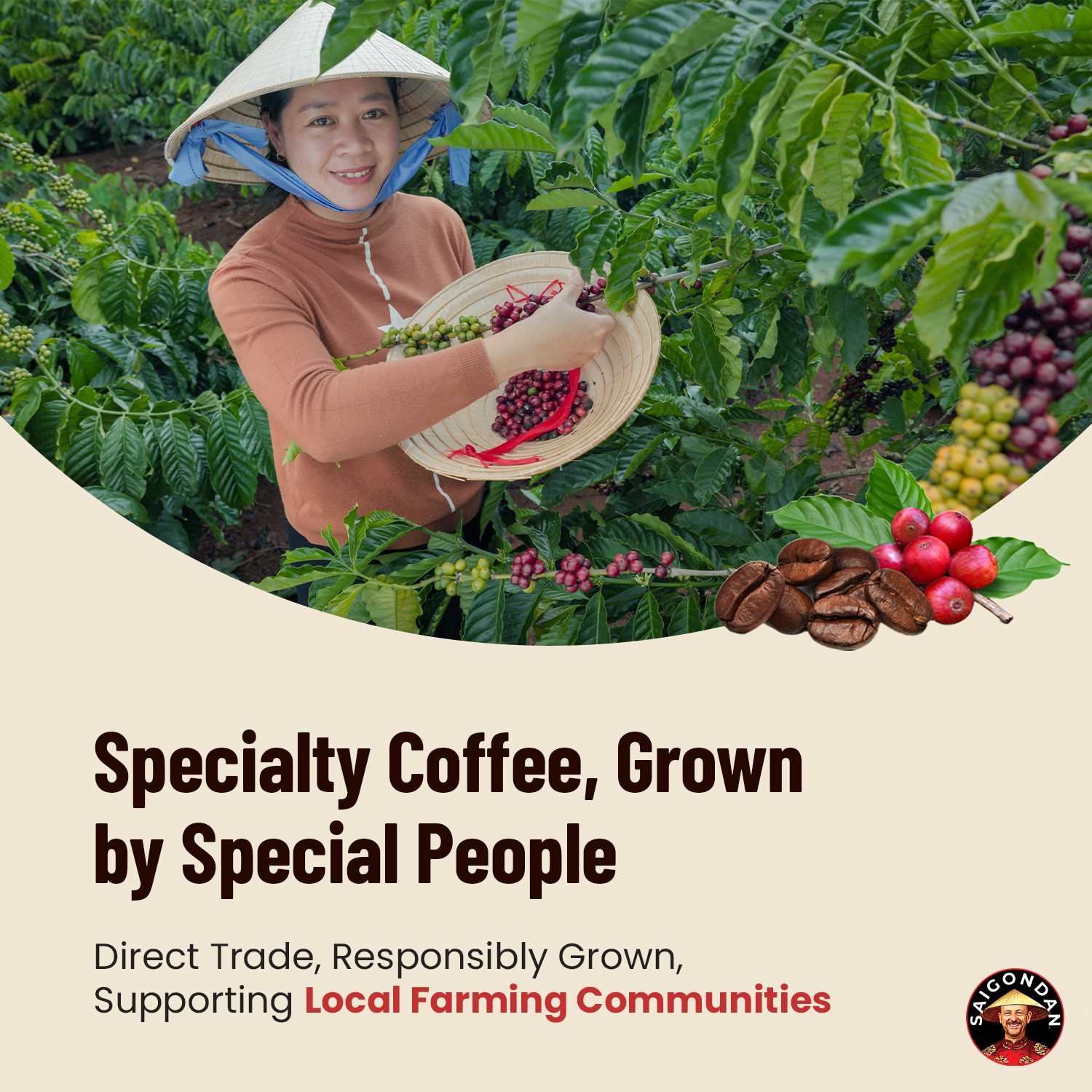 SaigonDan Celebration Espresso Roast Coffee — Bold Italian-Style Blend, Arabica + Robusta, Whole Bean, 12 oz