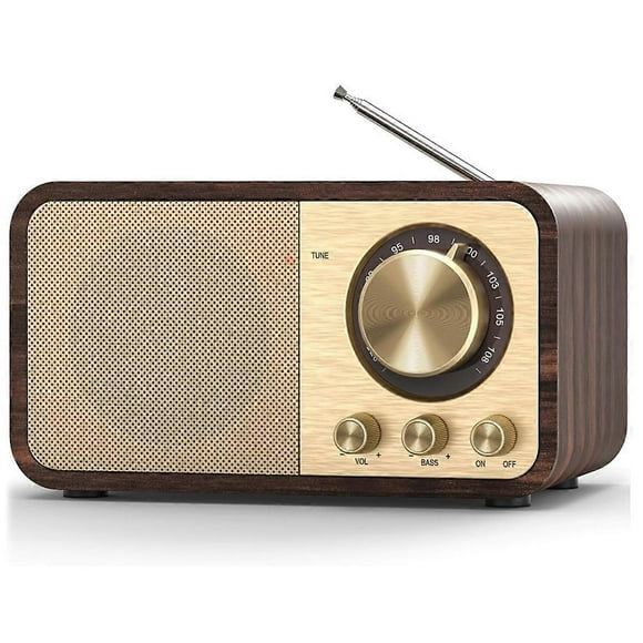 FM Radio with Reception,Bluetooth Transistor Radio with 5W Speaker