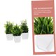 thumbnail image 5 of USHOBE 3Ud Planta Decorativa Artificial En Maceta Para Oficina Y Habitación, 5 of 8