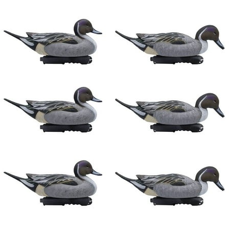 Final Approach Live Pintail Floater Duck Decoys 6 Pack