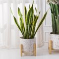 thumbnail image 4 of Better Homes & Gardens 12"D x 8.9"H Ceramic & Wood Planter & Stand Set, White, 4 of 10
