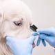 thumbnail image 3 of Peine para Ojos Quitamanchas Cepillo para Ojos Doble Cara para Y Gatos (plateado) 2 Uds., 3 of 8