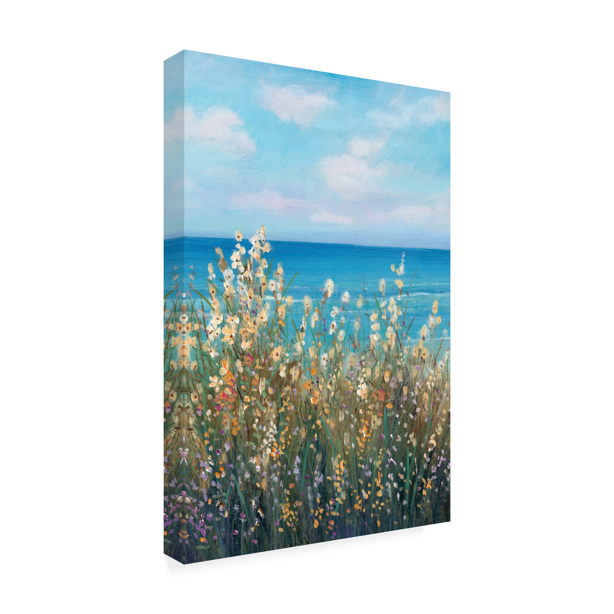 Trademark Fine Art 'Flowers at the Coast II' Canvas Art by Tim OToole